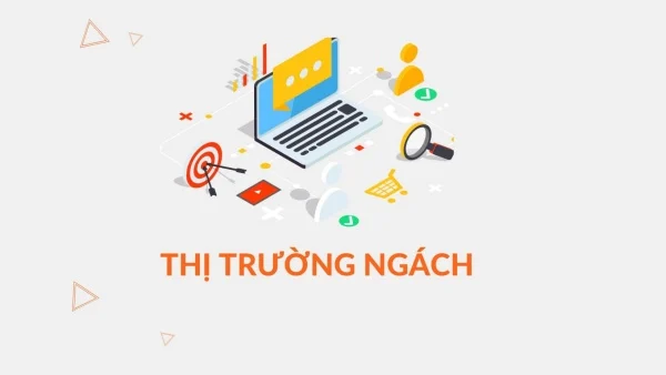 Thị trường ngách là gì: Định nghĩa và tầm quan trọng