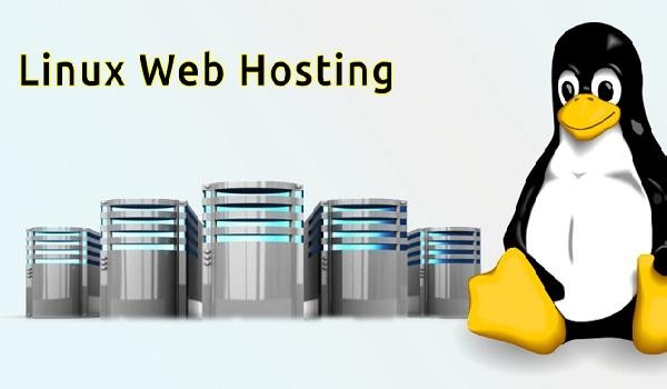 Hosting Linux là gì?