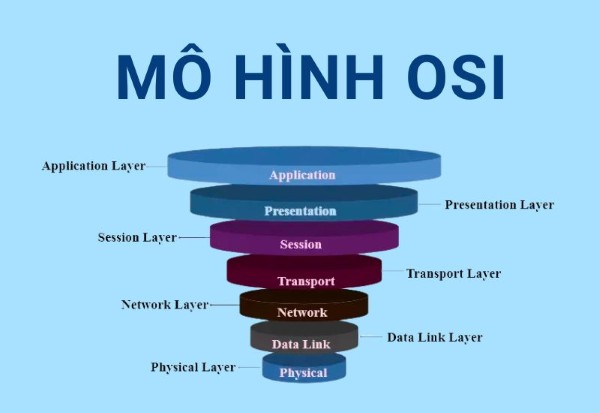 Theo tầng mạng (OSI)