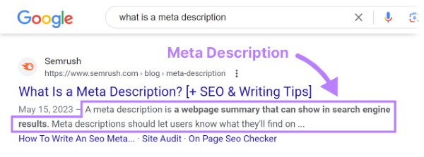 Tầm quan trọng của thẻ Meta Description